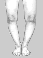 �K�j�}�^�^O�r