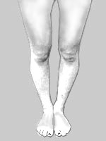 �E�`�}�^�^O�r�i��������O�r�j